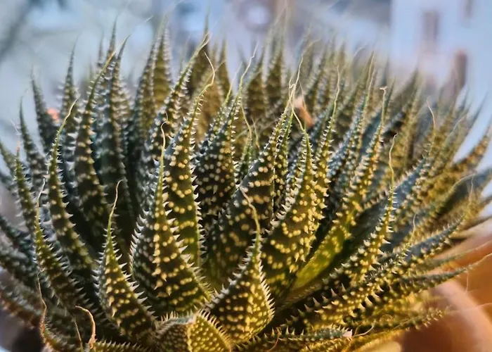 Sweet 3-room In A Location * Treviri