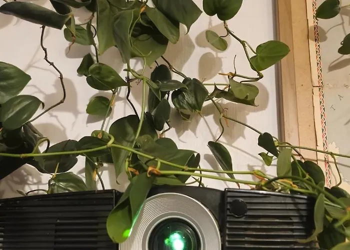 Appartamento Sweet 3-room In A Location *