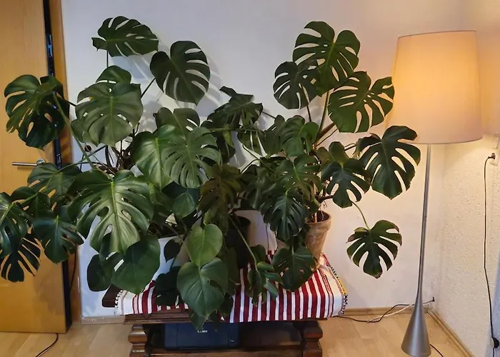 Sweet 3-room In A Location Appartamento